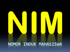 Screenshot 2024-06-25 132005