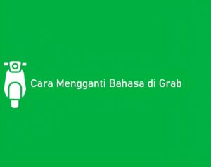 Screenshot_2024-11-19_202220-transformed