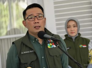 snapedit_1731652170571